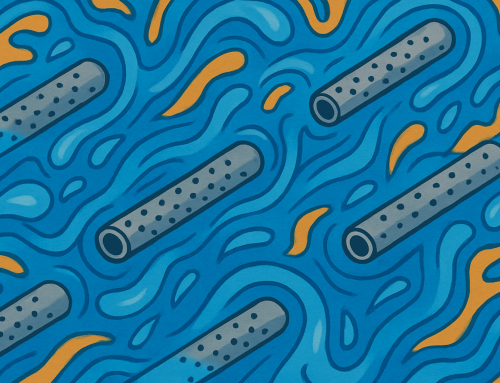 Sump Pumps vs. French Drains: Which Solution Protects Your Basement Better?
